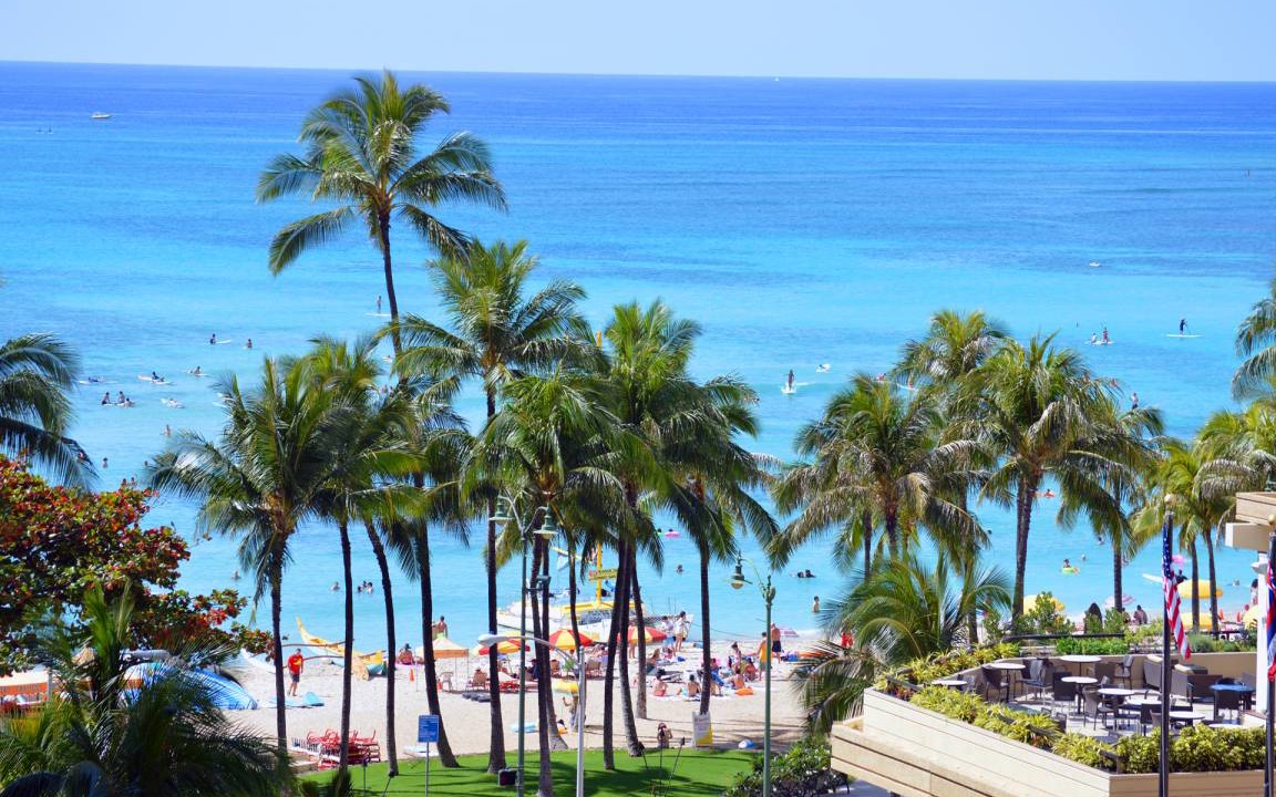 Waikiki Condo | 31 m² Condo ∙ 1 bedroom ∙ 2 guests
