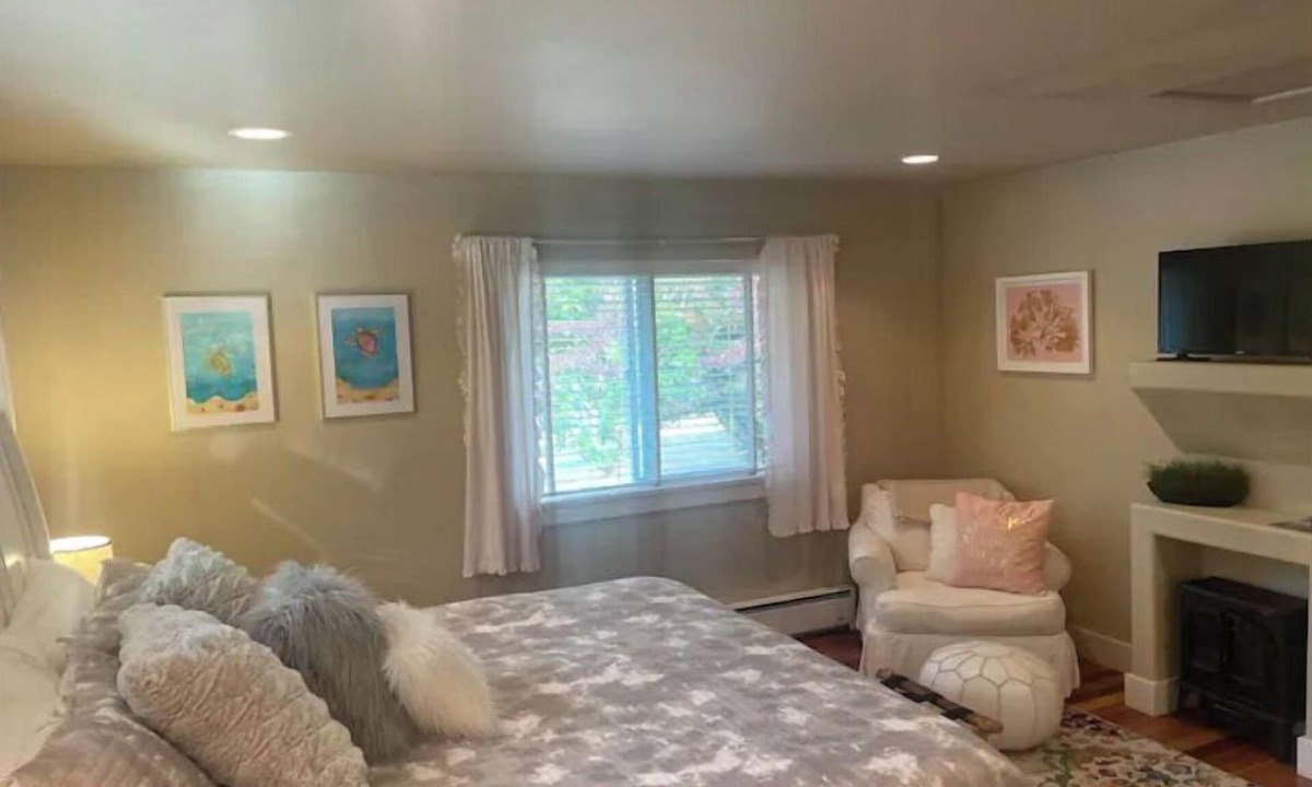Anacortes House | Adorable 1 bed Guest House w/cozy elec. fireplace