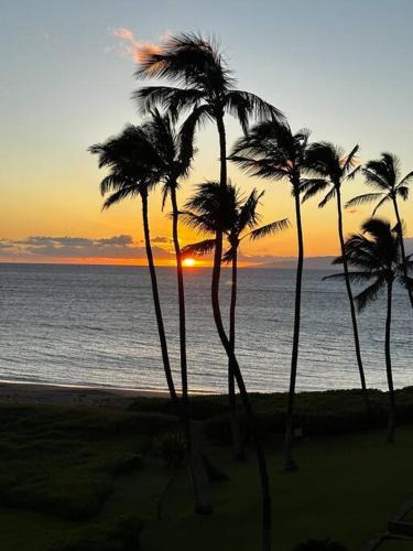 Kihei Apartment | Beautiful Oceanfront, AC In Each Room, Sleeps 6