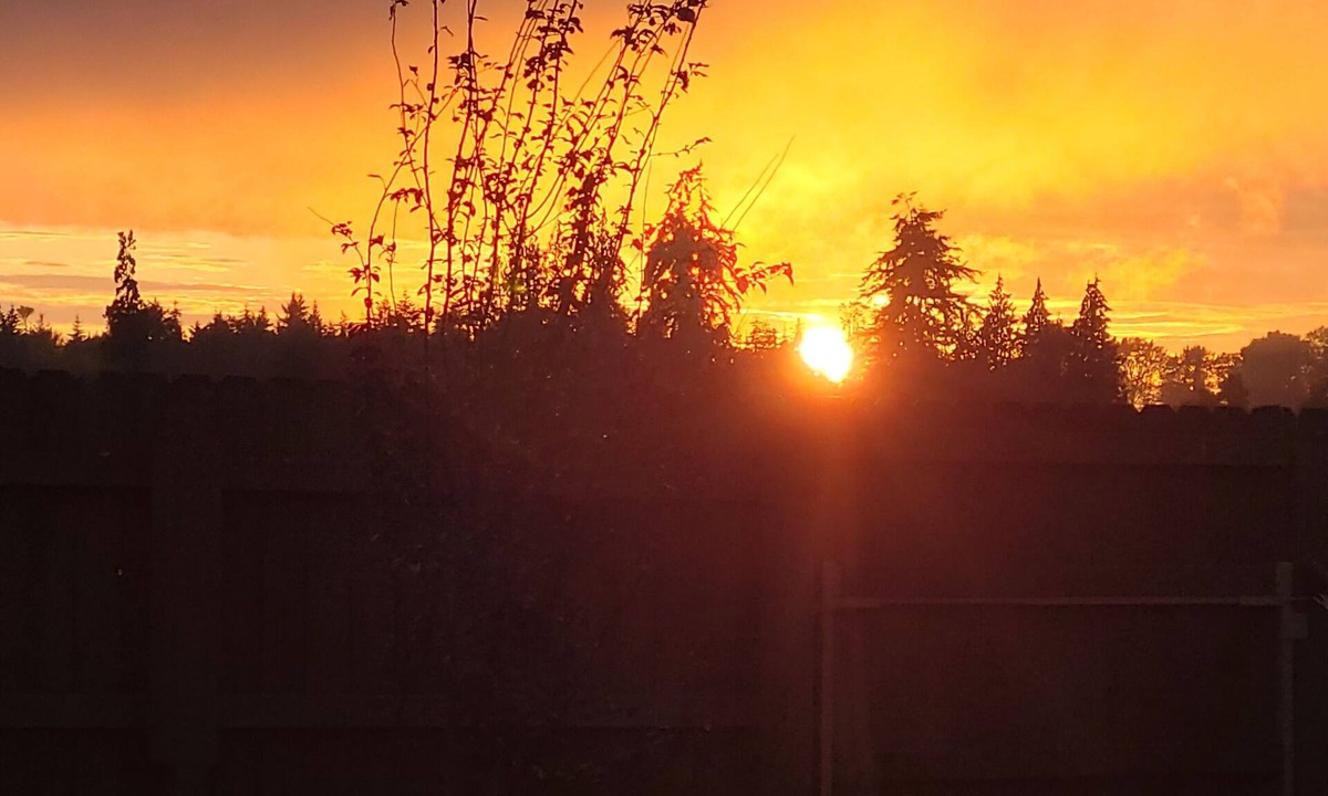 Sequim Apartment | Cozy Cottage Retreat – Private Yard, Sunset Views & Peninsula Access