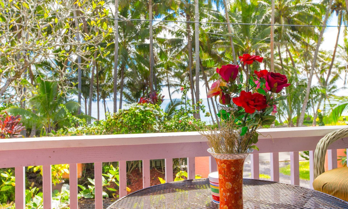 Dolphin Cottage Ac Kehena Beach Hawaii | Kehena Beach Estates