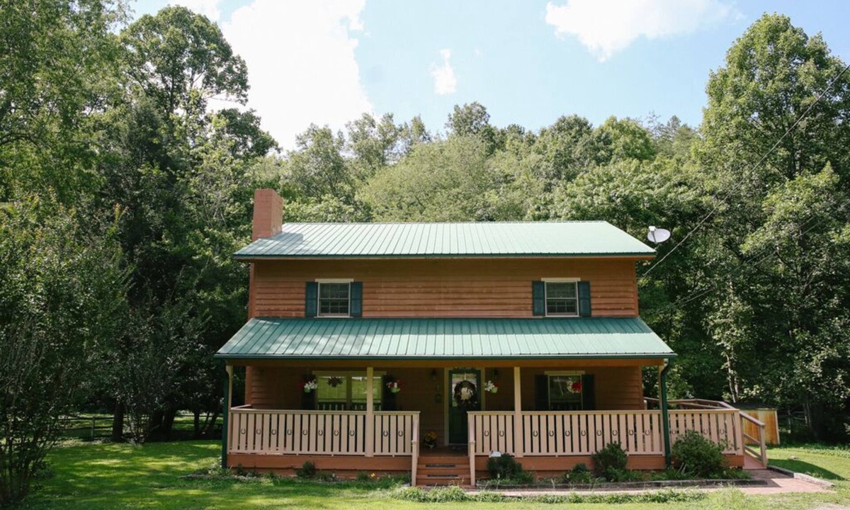 Sevierville House | FARM ANIMALS: RESCUES, Mini HORSES and mini DONKEYs;
