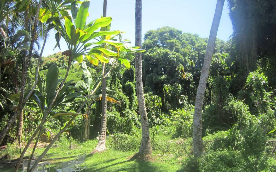 Kehena Beach Estates House | House ∙ 1 bedroom ∙ 2 guests