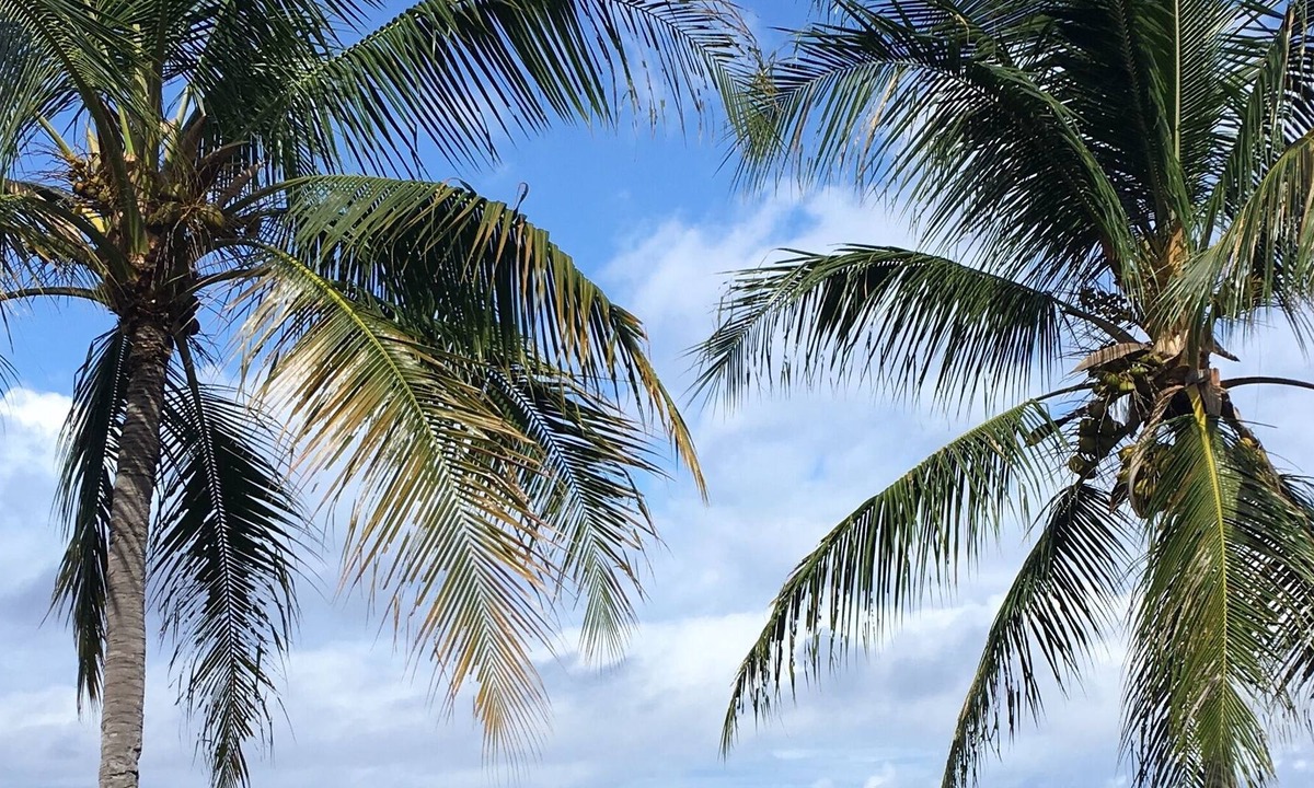 Honaunau-Napoopoo Bed & Breakfast | Kona Bayview Inn