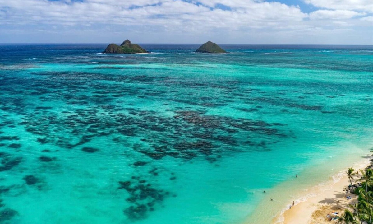 Kailua Bed & Breakfast | La Bella's Bed and Breakfast-Nai’a Suite-Walk to beach-In Kailua (O’ahu)