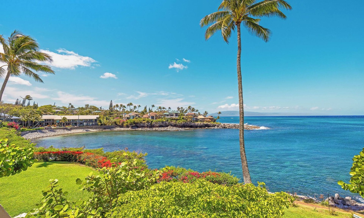 Napili Condo | Oceanfront, updated, clean, modern. Great reviews!
