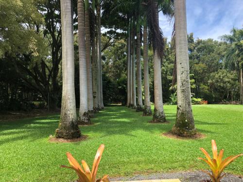 Hakalau House | Royal Palm Cottage Hawaii