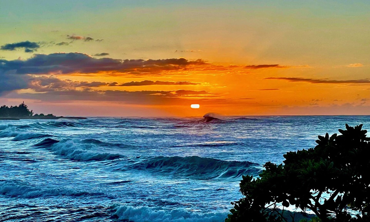 Kahuku Condo | Upscale Executive Retreat-Newly Renovated and Air Conditioning!