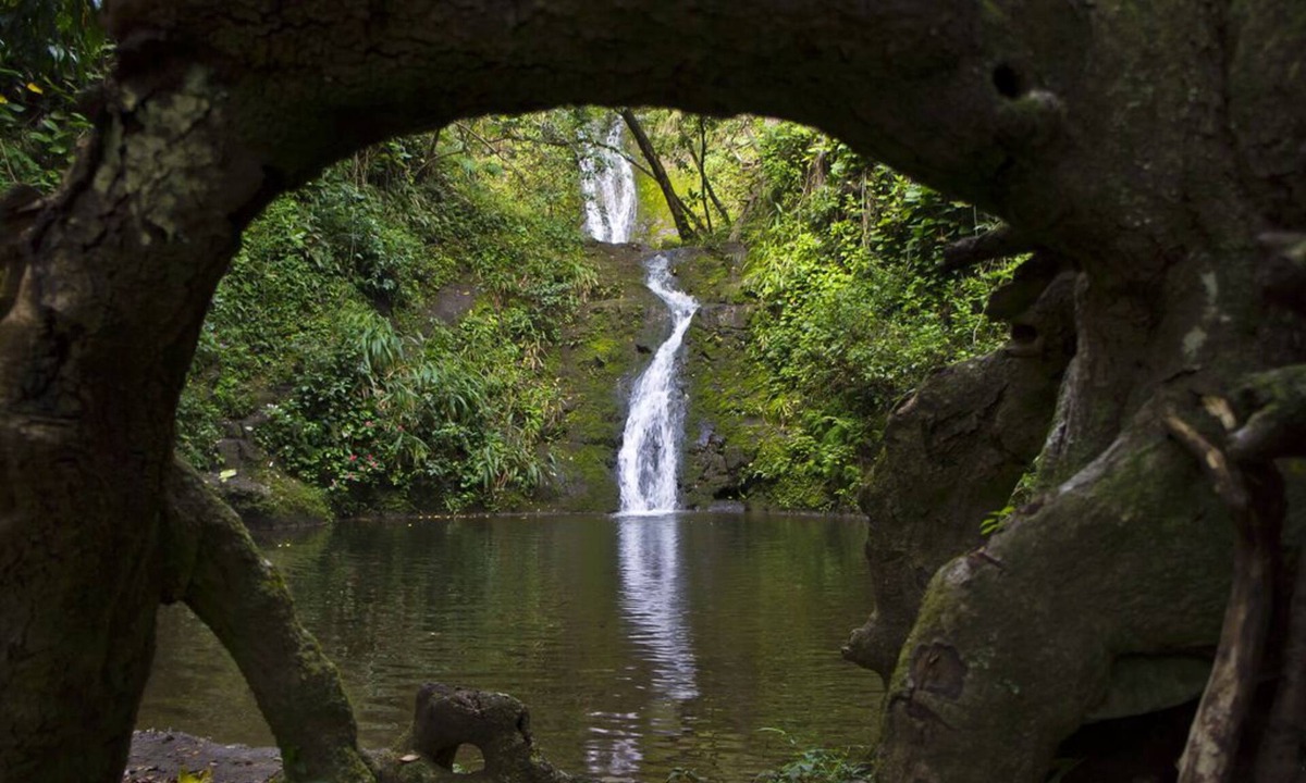 Honokaa House | Waipio Botanical Gardens in the heart of Waipio with waterfall & beach access!