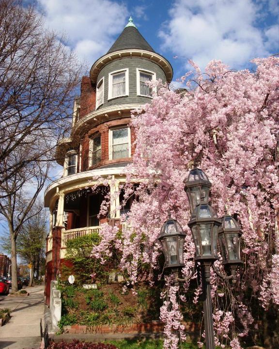 Downtown Baltimore Bed & Breakfast | Wilson House Bed & Breakfast