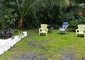 Oceanfront cottage w/AC @ Kehena Beach, Hawaii