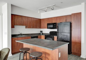 Serene Downtown Bellevue 2BR w/W/D & Storage, near Shops, by Blueground in Seattle