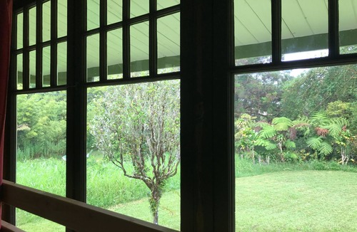Glenwood House | 10 Acre Private Bamboo Retreat Located Just Minutes From Volcano National Park