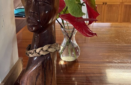 Kapoho House | Authentic Big island farm house in Peles backyard;)