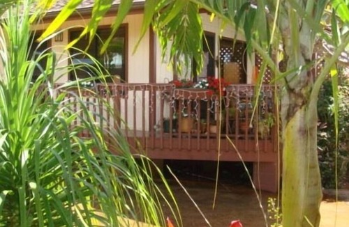 Kalaheo Cottage | Bamboo for Two Ocean View 12 Minutes from Poipu Beach
