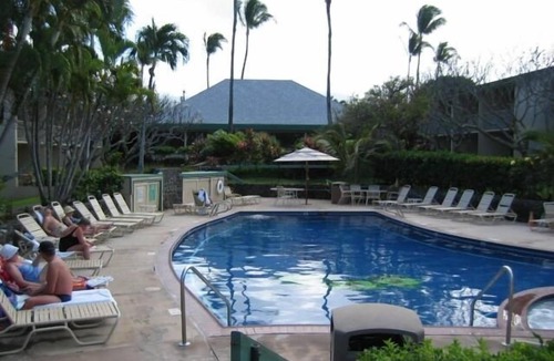 Napili Condo | Beautiful Napili Shores Condo!