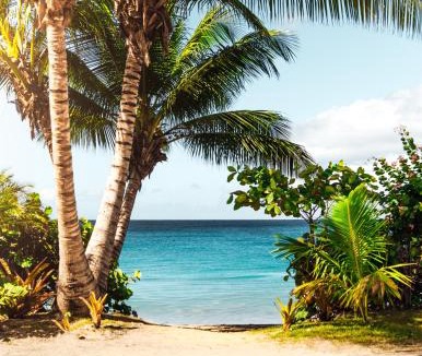 Punaluu Apartment | Breezy Beachfront Bali-Style Haven 180 Degree OceanView