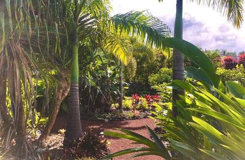 Kailua-Kona House | Central Oceanview Modern Cozy 3 Bed House