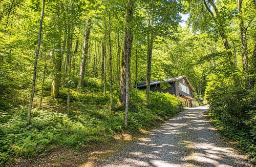 Highlands Cabin | Charming Dog Friendly | Near Downtown Highlands | Screened Porch | Sleeps 4