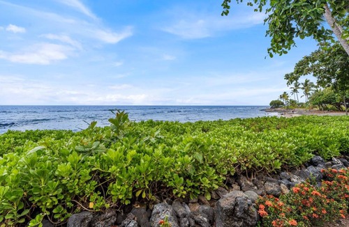 Kahaluu Bay Condo | Condo ∙ 2 bedrooms ∙ 4 guests