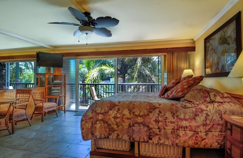 Poipu Condo | Cozy studio condo with AC and WiFi in charming Koloa/Poipu