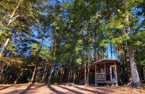 Reynolds Cabin | DISCONNECT! Experience Life Off-Grid