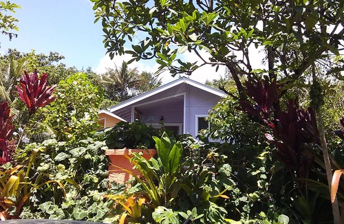 Kehena Beach Estates Cottage | Dolphin Cottage w/AC @ Kehena Beach, Hawaii