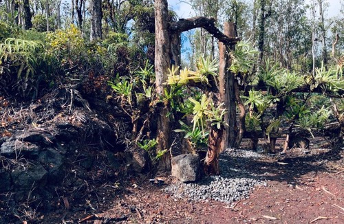 Mountain View House | Exotic Garden cottage at amazing volcano fissure