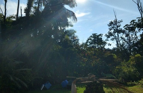 Leilani Estates House | Forest Retreat, Exceptional 10/10, all 5 star, Guest Favorite