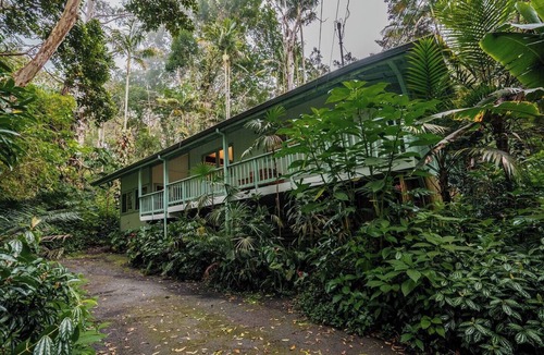 Kailua-Kona House | Jungle Retreat in Kona Cloud Forest Sanctuary, An unforgettable Cloud Forest Sanctuary retreat exper