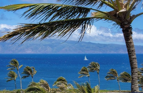 Montage Kapalua Bay Condo | Kapalua Bay Resort | Ocean View 3 BR Sleeps 8 | Car Incl. w/6+ Nights | MON-2604 by KBM