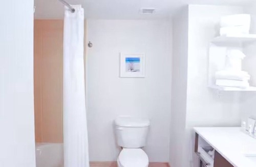 Wesley Chapel Hotel | King Size With Sofa Bed | Work & Relax Space + Breakfast Included!