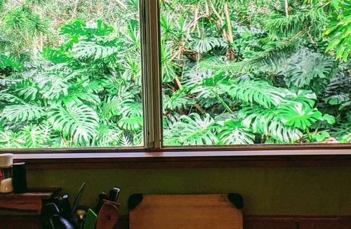 Keaau Apartment | Lava Apartment in Paradise!