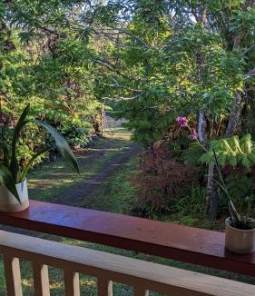 Ohia Estates House | Local Living in Volcano Hawaii Breeze&5 mins to Volcano National Park