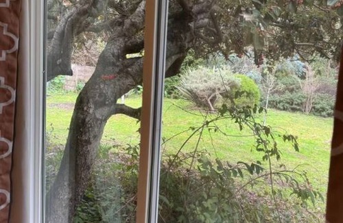 Albion Cottage | Mendocino Coast-Albion Garden CottagenPet Friendly, Cozy & Private