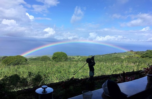 Kealakekua Cabin | Modern cabin on a world famous Kona Coffee farm with AC, WiFi. Unit 1
