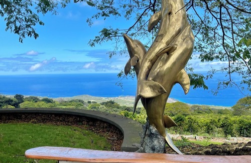 Kealakekua Cabin | Modern cabin on a world famous Kona Coffee farm with AC, WiFi. Unit 1