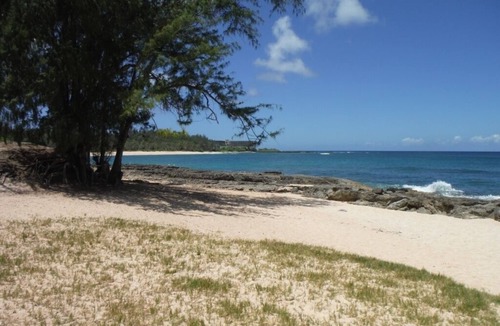Kahuku Condo | Newly Renovated Turtle Bay Condo! Enjoy All The North Shore Has To Offer!