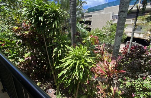 Koloa Condo | Now Booking! Enjoy your next vacation in our newly remodeled condo! Pool, A/C!