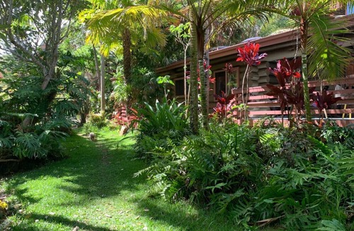Kukuihaele Condo | OWL NEST: serene stream side retreat for 2 or 3