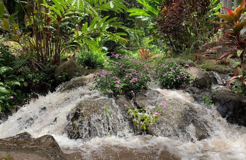 Kukuihaele Condo | OWL NEST: serene stream side retreat for 2 or 3