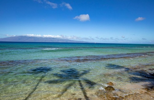 Honokowai Apartment | Papakea Oceanfront Studio Sleeps 4 Villas Great for Families Complimentary Car with 6 Nights PKE-304 by KBM