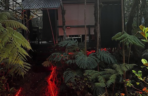 Eden Roc House | Pele's Breath Jungalow Near Kilauea Volcano