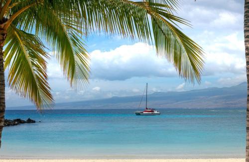 Kamuela House | ❤PiH❤ DAYDREAM VILLA Hilton Resort Passes Bikes and Beach Gear
