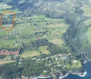 Hakalau House | Royal Palm Cottage Hawaii