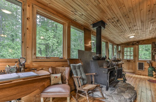 Ellijay Cabin | Rustic Cabin trout fishing dog loving beach area on secluded 8 acres! HL# 001504
