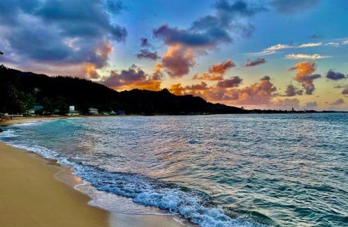 Punaluu House | Sea Turtle Cottage
