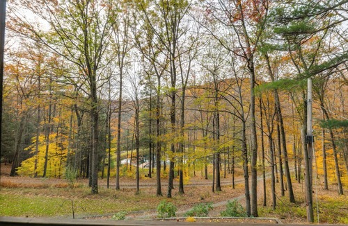 Wellsboro Cabin | Secluded mountain cabin on 42 wooded acres/pond/game room/Pa. Canyon/rail trail