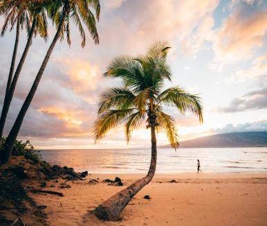 Kahului Apartment | Serviced apartment ∙ 1 guest