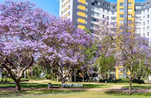 La Brea Apartment | Spacious 2B 2B High Floor Apartment in Park La Brea Grove Lacma Area
